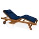 Multi-position Chaise Lounger and Cushion